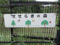 Tv_20090717_17