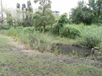 Tv_20090717_18