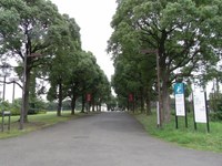 Tv_20090717_19