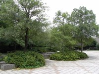Tv_20090717_22