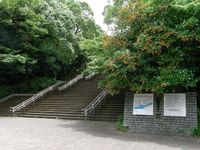 Tv_20090717_24