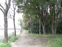 Tv_20090717_27