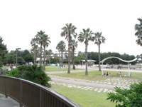 Tv_20090717_36