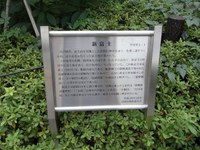 Tv_20090922_11