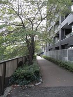 Tv_20090922_25