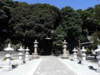 Tv_20090923_13