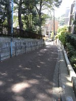 Tv_20090923_20