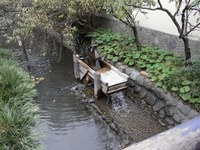 Tv_20091017_05