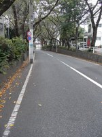 Tv_20091017_14