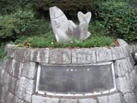 Tv_20091017_22