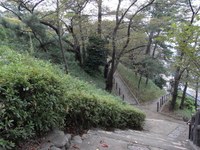 Tv_20091017_23