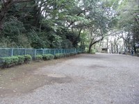 Tv_20091017_24