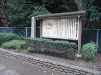 Tv_20091017_25