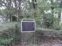 Tv_20091017_26