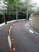 Tv_20091017_29