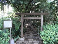 Tv_20091018_02