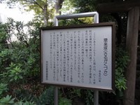 Tv_20091018_04