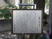 Tv_20091018_08_2