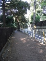 Tv_20091018_10