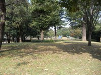 Tv_20091018_17