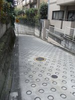 Tv_20091018_23