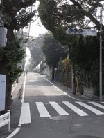 Tv_20091018_29
