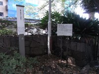 Tv_20091018_34