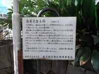 Tv_20091018_35