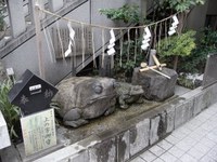 Tv_20091024_03