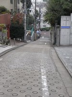 Tv_20091024_09