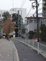 Tv_20091024_26