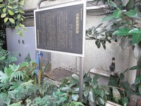 Tv_20091101_03