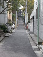 Tv_20091101_10