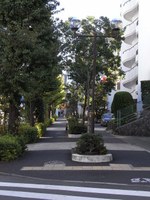 Tv_20091103_02