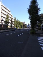 Tv_20091103_03