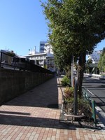 Tv_20091103_06