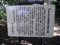 Tv_20091103_09