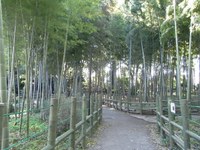 Tv_20091103_10
