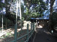 Tv_20091103_11