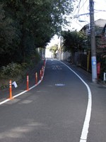 Tv_20091103_28