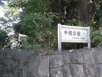 Tv_20091103_29