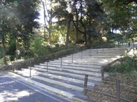 Tv_20091103_30