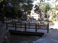 Tv_20091103_31