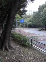 Tv_20091108_00