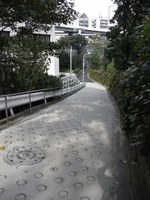 Tv_20091108_04