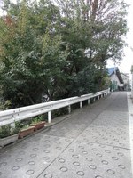 Tv_20091108_08