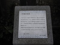 Tv_20091108_09