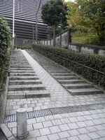 Tv_20091108_10