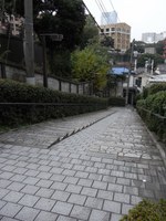 Tv_20091108_11