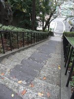 Tv_20091108_14